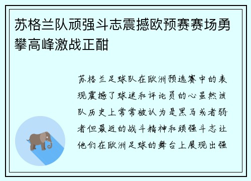 苏格兰队顽强斗志震撼欧预赛赛场勇攀高峰激战正酣
